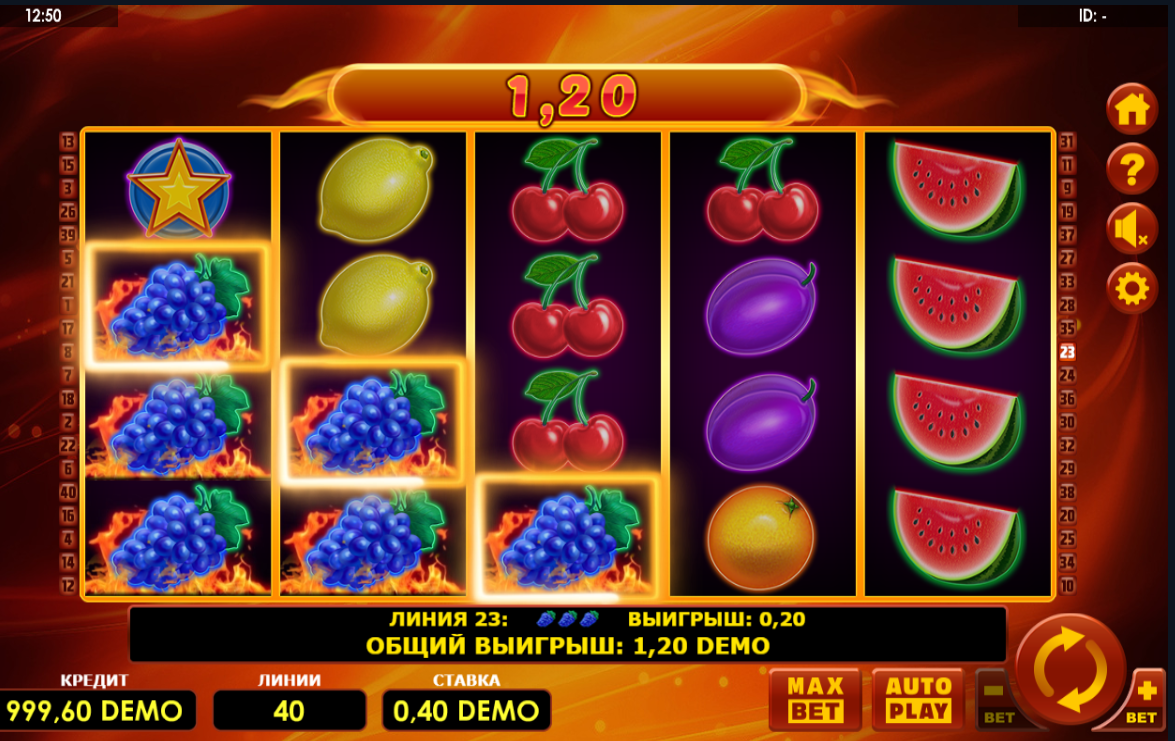 Изображение автомата Hot Fruits 40