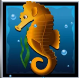 Символ игрового автомата Dolphins Pearl HD Морской конек