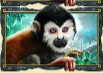 Символ игрового автомата Jungle Queen Примат