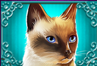 Символ игрового автомата Cutie Cat Сиамский кот