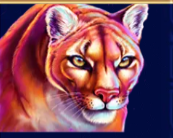Символ игрового автомата Wild Country Тигр