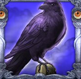 Символ игрового автомата Ancient Magic Ворон