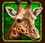 Символ игрового автомата African Simba Жираф